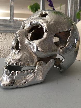 Large Anatomical Skull - Cast Iron - Chrome Nickel